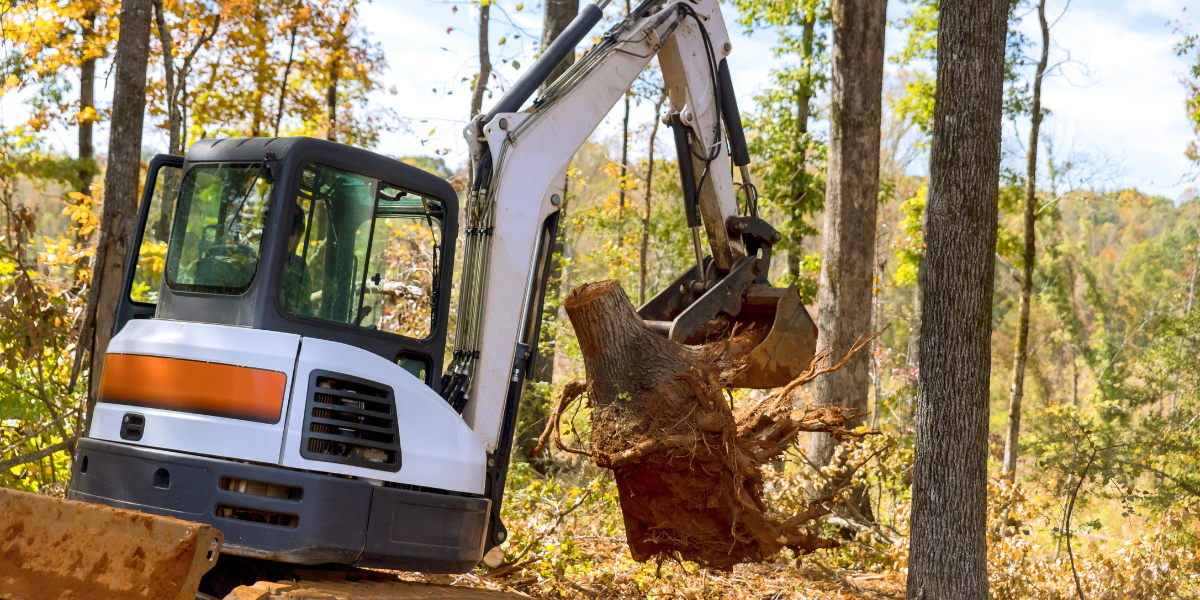 Dealing with tree roots during excavation